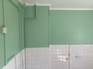 Photo de galerie - Travaux de finition peinture des murs finis