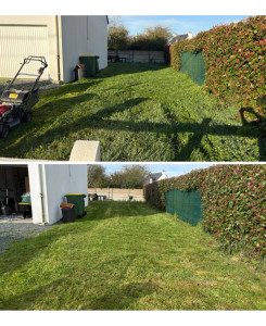 Photo de galerie - Tonte de pelouse avec évacuation