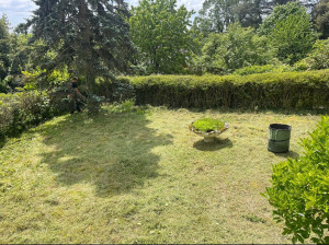 Photo de galerie - Résultats d’un débroussaillage réalisé sur Montrichardune