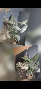 Photo de galerie - Ménage