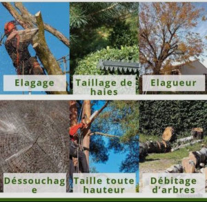 Photo de galerie - Je suis professionnel avec assurance 