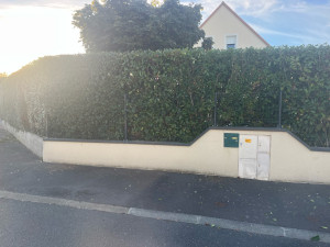 Photo de galerie - Taille de 60m de haie 