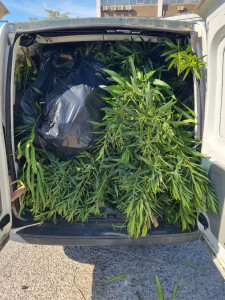 Photo de galerie - Évacuation déchets - Gravats