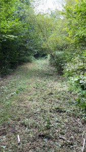 Photo de galerie - Tonte de pelouse - Débroussaillage