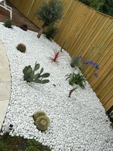 Photo de galerie - Création de massif