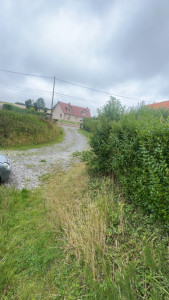 Photo de galerie - Taille de haies et d'arbustes