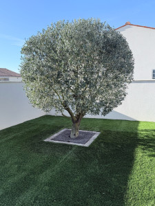 Photo de galerie - Entretien piscine