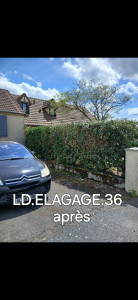 Photo de galerie - Taille de haies et d'arbustes