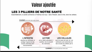 Photo de galerie - Piliers de la santé