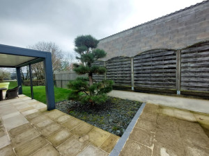 Photo de galerie - Taille de haies et d'arbustes