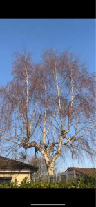 Photo de galerie - Avant après 