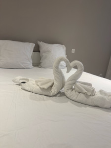 Photo de galerie - Ménage