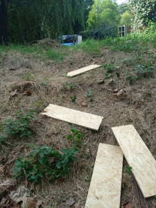 Photo de galerie - Paysagiste - Aménagement du jardin