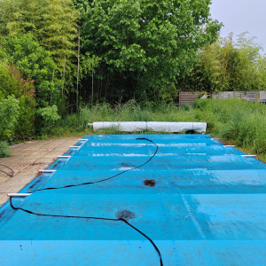 Photo de galerie - Tonte de pelouse - Débroussaillage