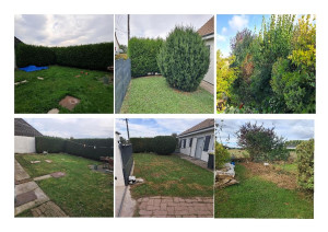 Photo de galerie - Entretien espaces verts