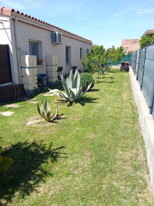 Photo de galerie - Tonte de pelouse - Débroussaillage