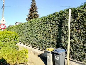 Photo de galerie - Après avoir passé chantier taille de haie 