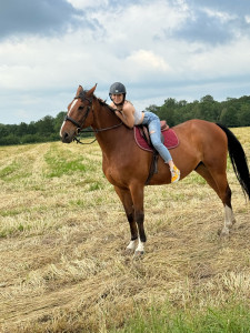 Photo de galerie - Monte d’un cheval