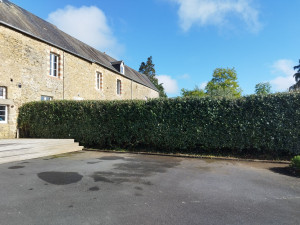 Photo de galerie - Tailler 