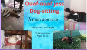 Photo de galerie - Amoureuse de nos toutous, je prends soin d'eux chacun leur tour. Pas d'autres chien. Votre compagnon sera le seul  sur les dates convenues.
