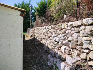 Photo de galerie - Débroussaillage et Nettoyage de Ronces 