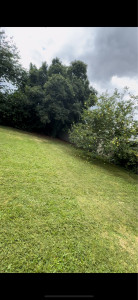 Photo de galerie - Tonte de pelouse et débroussaillage 