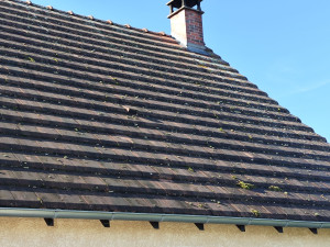 Photo de galerie - Demoussasage traitement 