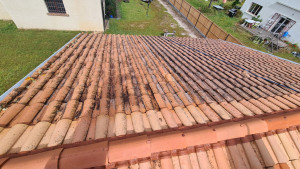 Photo de galerie - Couverture - Toiture