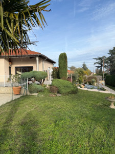 Photo de galerie - Taille de haie de cyprès 