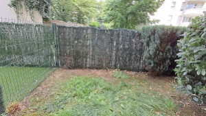 Photo de galerie - Après abattage de la haie
