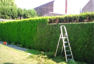 Photo de galerie - Bricolage et multi services
