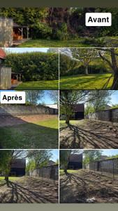Photo de galerie - Abattage d’une haie 