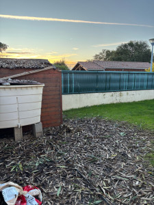 Photo de galerie - Après coupe du laurier rose et retrait des déchets.