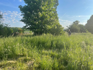 Photo de galerie - Débroussaillage 