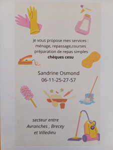 Photo de galerie - Repassage, courses...