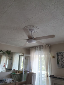 Photo de galerie - Ventilateur de plafonnier ma réalisation 