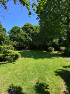 Photo de galerie - Tonte et entretien de grand terrain