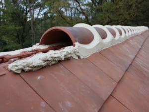 Photo de galerie - Seulement de faîtière