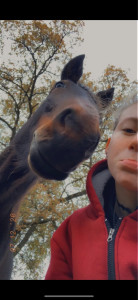 Photo de galerie - .