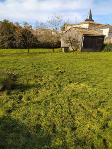 Photo de galerie - Débroussaillage 