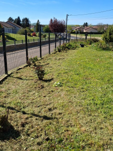 Photo de galerie - Débroussaillage 