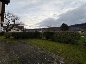 Photo de galerie - Taille droite d’une haie mixte 