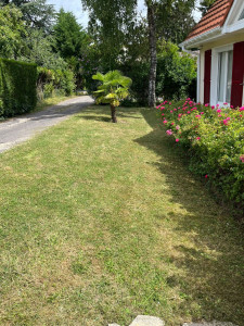 Photo de galerie - Jardinier