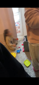 Photo de galerie - Baby sitting 