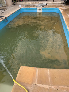 Photo de galerie - Piscine verte à nettoyer 