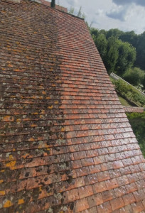 Photo de galerie - Demoussage d’une toiture 