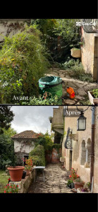 Photo de galerie - Taille d’arbustes 