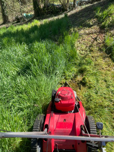 Photo de galerie - Tonte de pelouse - Débroussaillage
