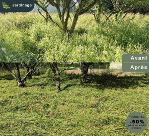 Photo de galerie - Tonte de pelouse - Débroussaillage