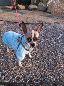 Photo de galerie - La princesse 